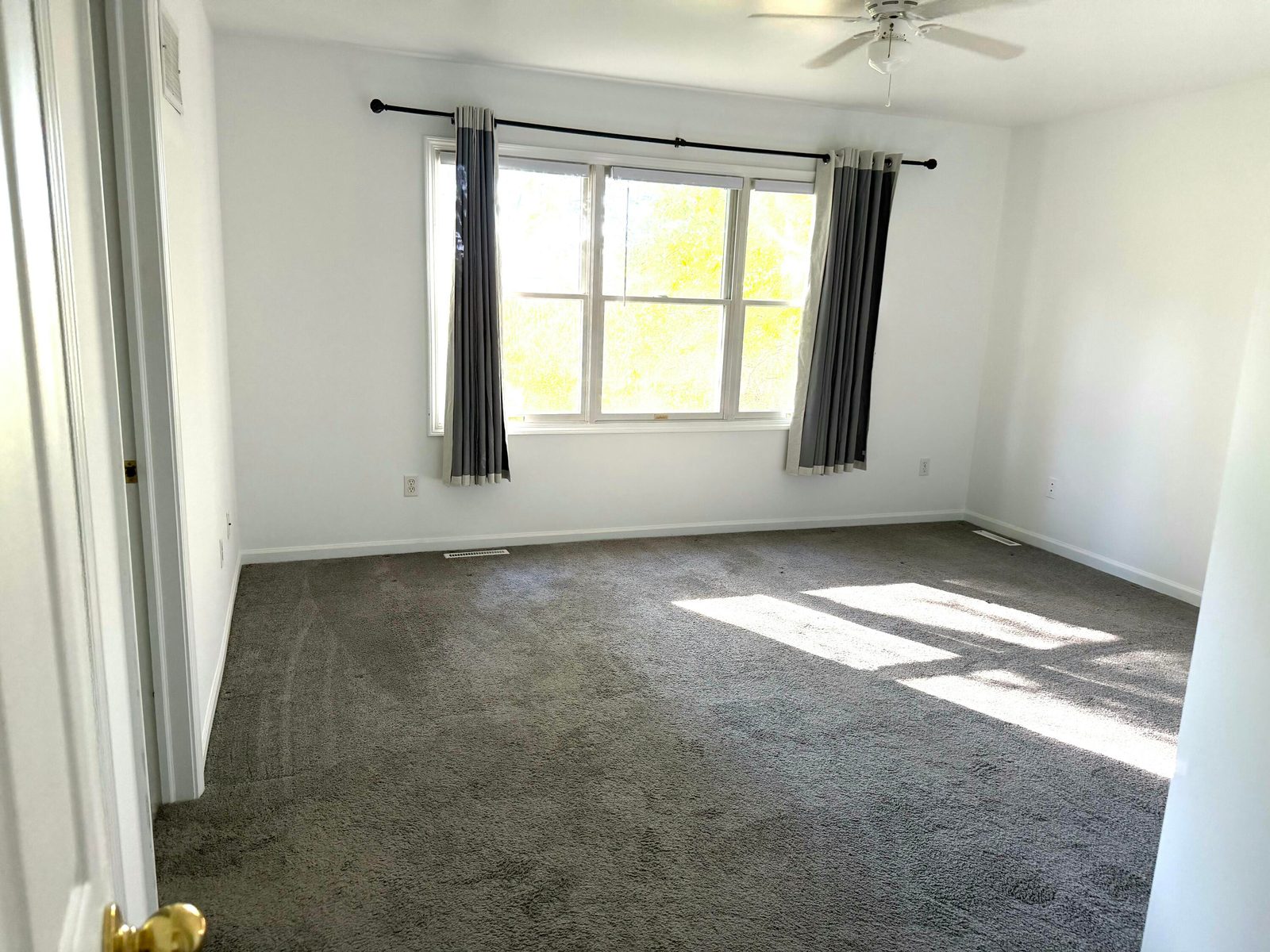 202 Kraus Drive photo 15