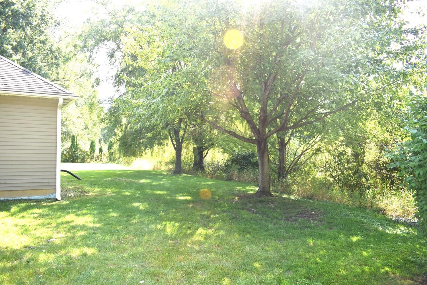 202 Kraus Drive photo 7